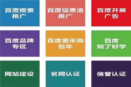 SEM推广案例：揭秘高ROI背后的策略与实践